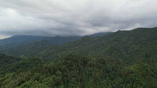 梵净山郁郁苍苍