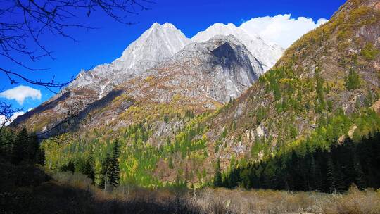 横移拍摄四姑娘山长坪沟美景