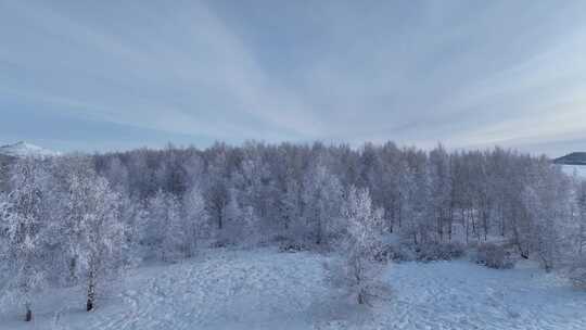 航拍雪域雪原桦林雾凇