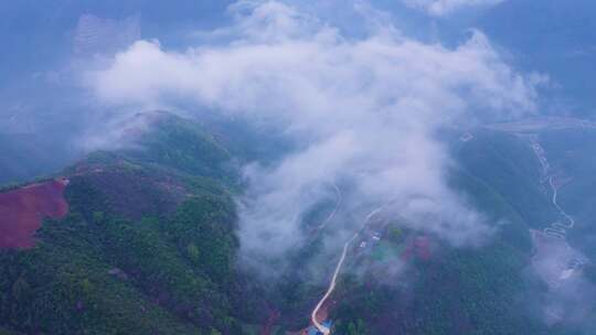 镇安海棠山