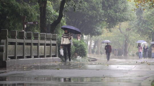 公园里雨中散步的行人