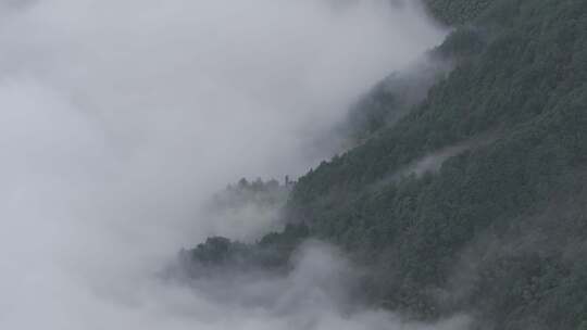 自然风景山区清晨云海翻腾直录4K航拍唯美