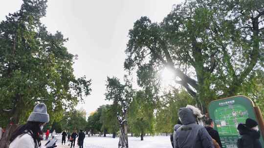 地坛公园雪景 祈年殿雪景  地坛屋脊兽雪景