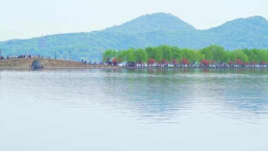 杭州西湖春天风景