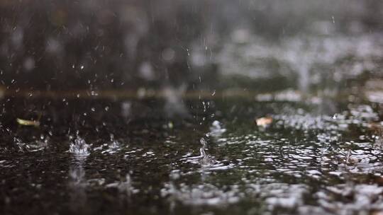 小清新感觉下雨水花视频素材