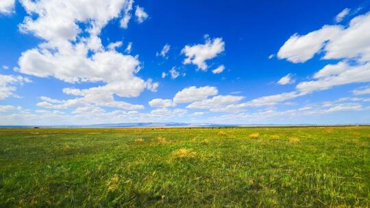 新疆哈密巴里坤草原自然风光延时