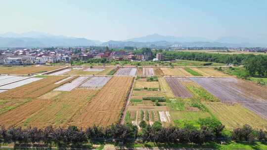 乡村农田风景航拍