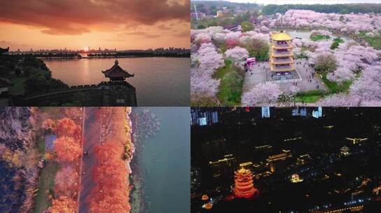武汉东湖夕阳樱花地标建筑航拍 视频合集