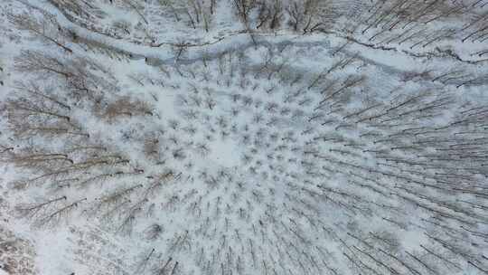 4K航拍雪景森林