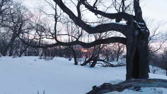 4K冬天冰天雪地