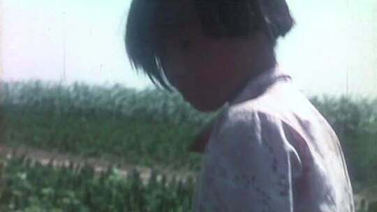 80年代中国农村视频素材模板下载