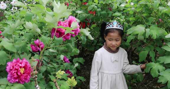 牡丹花丛中的可爱女孩 赏花闻花玩耍笑容