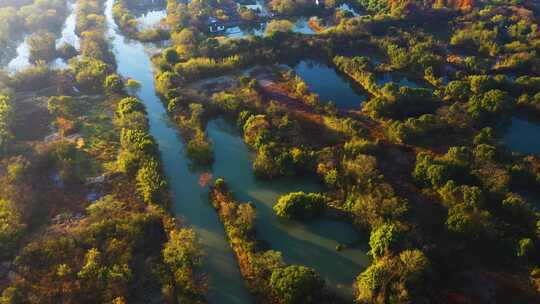 杭州西溪湿地光影秋色航拍视频素材模板下载