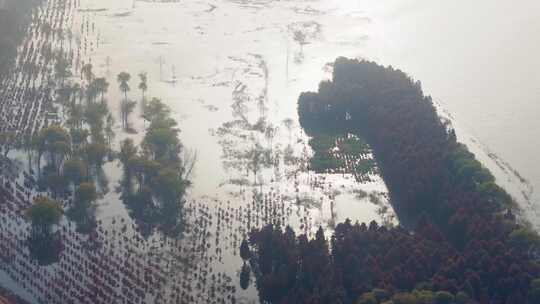 航拍西沙明珠湖景区西沙湿地生态环境