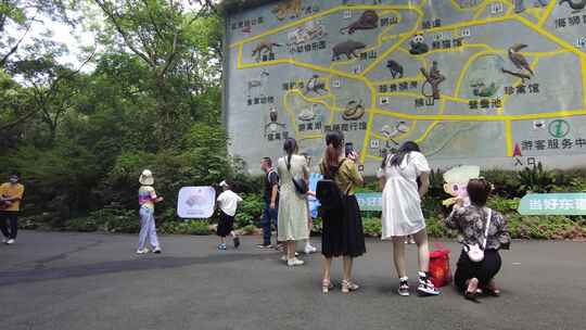 杭州动物园游客参观游玩