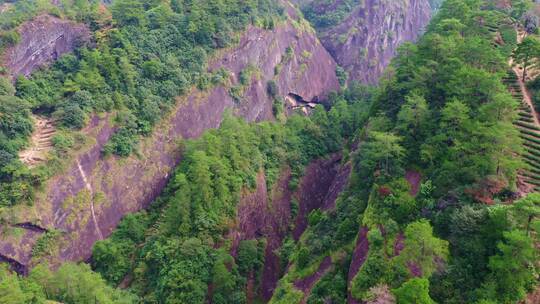 武夷山母树大红袍景区