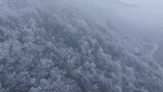 4k银装素裹山林湖北宜昌雾凇山脉仙境航拍