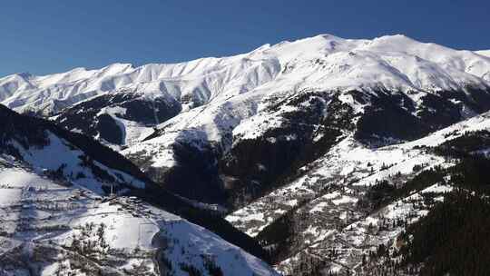 森林中山村的雪景