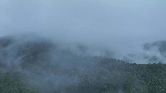 森林云雾森林云海树林航拍森林雨天森林氧吧