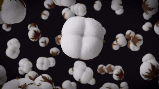 纯天然新疆棉花 布料特写片头 黑底版