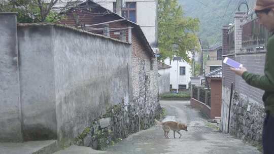 走路的男人和狗