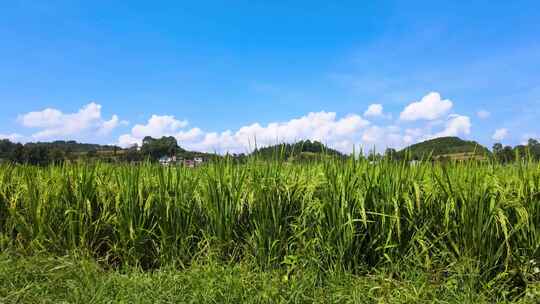 田园乡村自然风光俯瞰