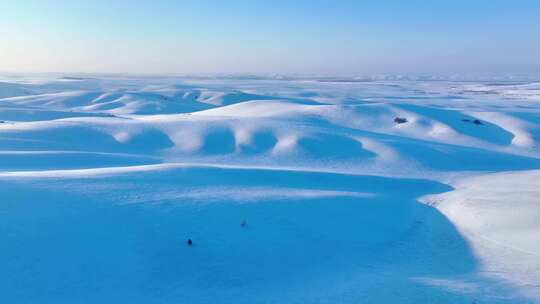 呼伦贝尔雪原森林雾凇雪景