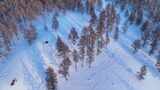航拍雪原松林风景高清在线视频素材下载