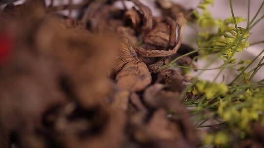 榛蘑小鸡炖蘑菇东北特产视频素材模板下载