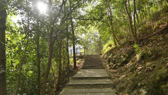 温州南雁荡山自然风景视频素材模板下载