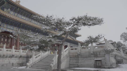 北京雪景 北京下雪