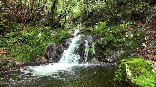 森林山涧小溪瀑布河流绿色苔藓