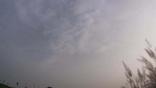 一架快速飞行的喷气式飞机在空中回响它的声