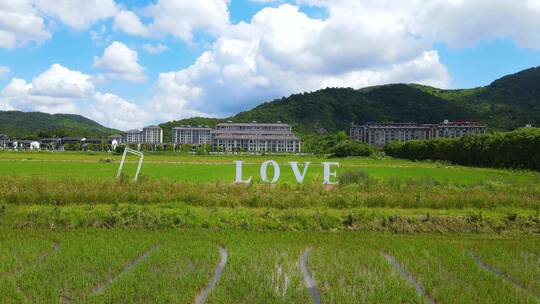 宁波江北区荪湖花海景区4K航拍