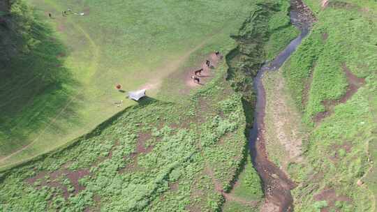 4K自然风光草丛沟壑实拍视频