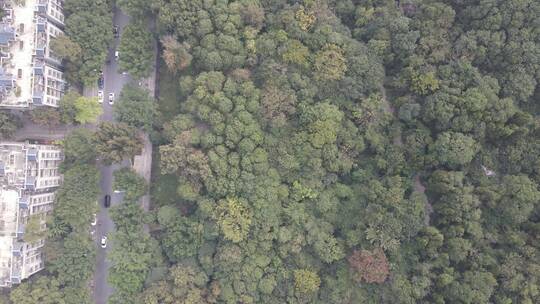 航拍广西桂林旅游景点城市地标建筑