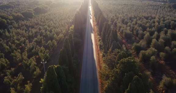 直路穿过树木和开阔的田野天线
