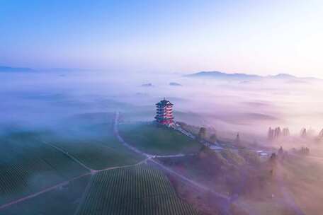 贵州遵义湄潭中国茶海航拍