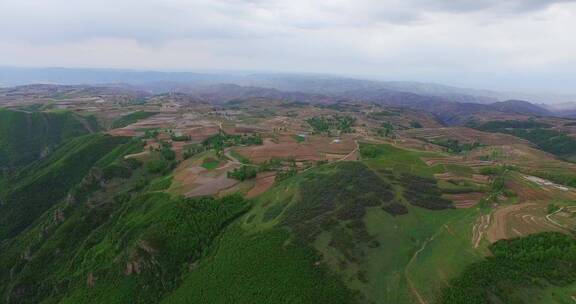 西北 农村 田地 风貌 耕地 航拍 农业