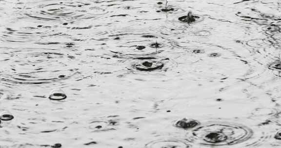 雨天下雨雨滴水面水泡