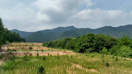 航拍新农村发展种植园基地