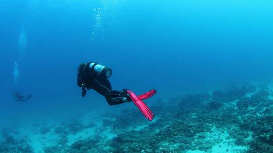 水肺潜水员在热带水域游泳