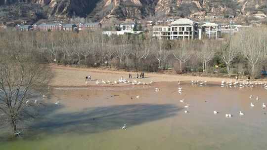 山西平陆天鹅湾