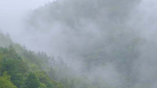 初秋雨中山脉云雾缭绕的绝美自然风光