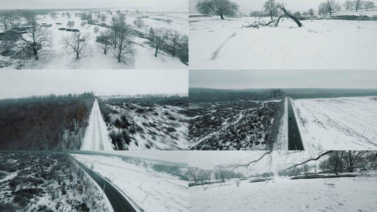 航拍雪原林场公路树林雪地雪景