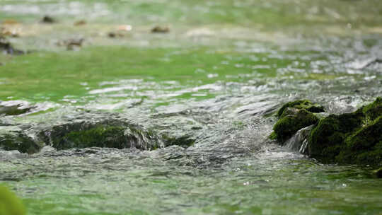 绿水浅滩清澈河流视频素材模板下载