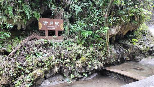 啸月泉边岩石绿植环绕景象