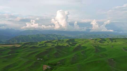 新疆伊犁河谷草原绿色生态农业自然风光航拍