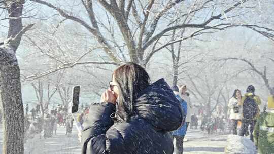 落花飞舞这纷纷飞花雾凇飘落下雪飘雪风雪