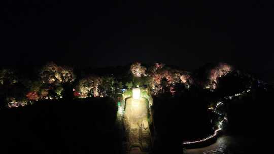 航拍四川乐山大佛夜景